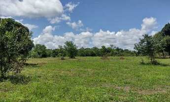 Imagem 3: São 7 heketare com mas de 85% aproveitalvel e plano, se vende todo ou fração de heketares