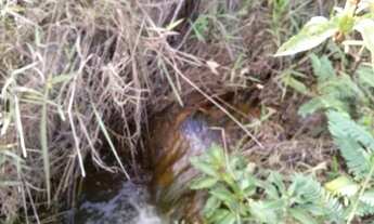 Imagem 5: Sítio da Lajinha 16 Hectares - Sítio Carvalhos 25.000 m²