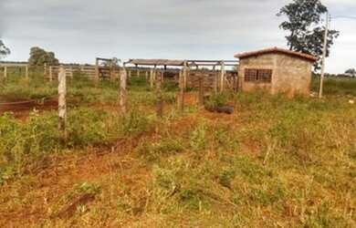 Imagem 3: Excelente fazenda em Limeira