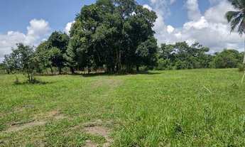 Imagem 7: São 7 heketare com mas de 85% aproveitalvel e plano, se vende todo ou fração de heketares