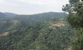 Imagem 2: Fazenda/Sítio/Chácara para venda/Urubici/ Serra Catarinense