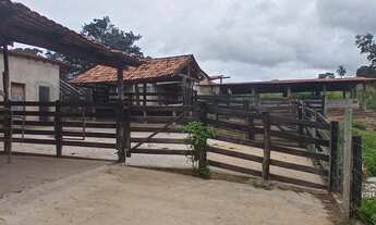 Imagem 2: Fazenda Municio Padre Bernado/GO