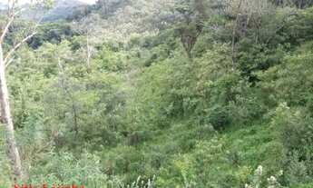 Imagem 7: Sítio da Lajinha 16 Hectares - Sítio Carvalhos 25.000 m²