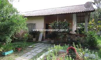 Imagem 5: Caetano Imóveis - Sítio em Agro-Brasil com 15.000m² todo plano e todo murado