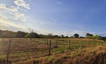Imagem: Fazenda 15 alqueires em Anápolis - GO