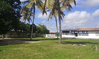 Imagem 3: Fazenda em Monte Alegre 86hectares