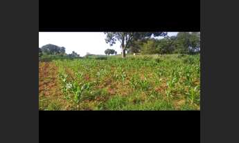 Imagem 4: Vende-se Chácara com venda com preço sob consulta