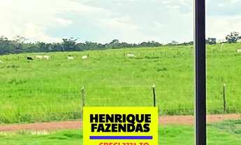 Imagem 3: Fazenda pecuária Abreulandia Tocantins