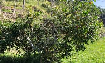 Imagem 7: TERRENO RURAL em Juquitiba - SP, Centro