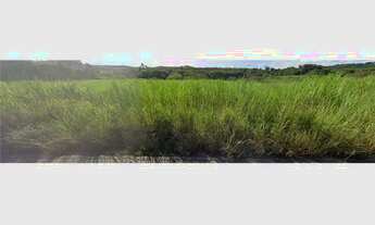 Imagem 5: Terreno Industrial 20.000m2 à Venda em Santa Luzia, MG