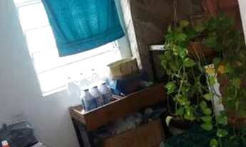 Imagem 7: CASA DE VILA - TATUAPÉ - SP