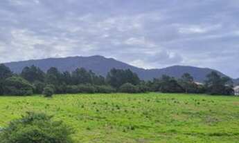 Imagem 7: O maior sobrado 3 quartos do bairro Rio Vermelho