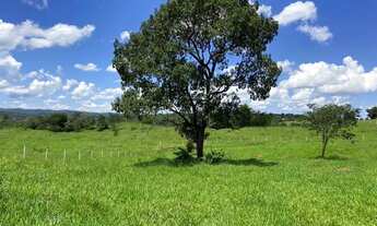 Imagem 6: Chácara/Sítio entre Aragoiânia e Nova Fátima - Escriturada