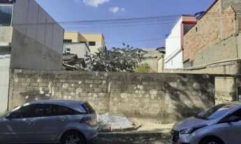 Imagem 2: Lote de 360m2, no Bairro Santa Luzia, em Contagem, lado de cima, murado. valor 290mil