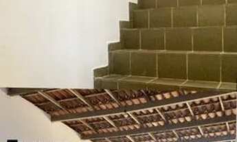 Imagem 5: Vendo Casa Ampla São Caetano