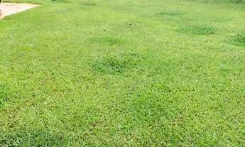 Imagem 6: PA - Terreno para investimentos