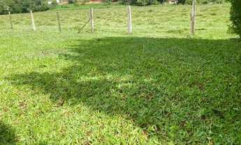 Imagem 5: VC- VENDE-SE TERRENO COM EXCELENTE TOPOGRAFIA NO INTERIOR DE SP