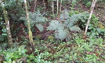 Imagem 2: Terreno para construção chale