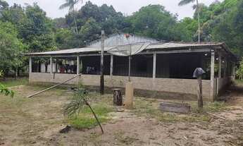 Imagem 6: Sítio Chácara com venda por R$510.000