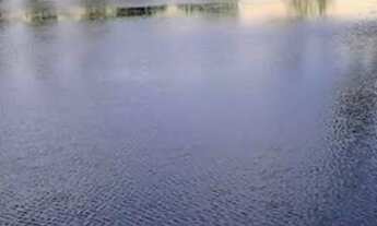 Imagem 5: Área medindo 280.000 m2 ou 28 hectares no povoado Coqueiros - Jandaira-Ba