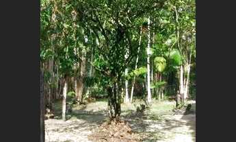 Imagem 6: Vendo ou troco por outra