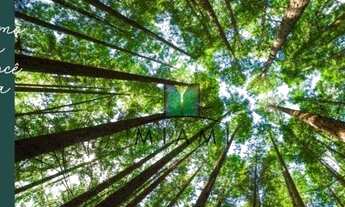 Imagem 3: Apartamento Garden com 2 dormitórios à venda, 58 m² por R$ 312.049,00 - Alto Boqueirão - C