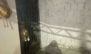 Imagem 5: Casa para repasse