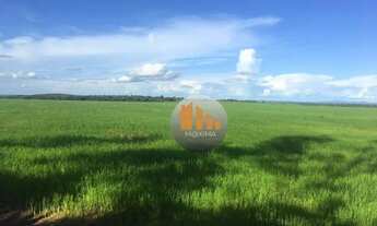 Imagem 3: FAZENDA 18 ALQUEIRES EM SAO VALERIO -TO