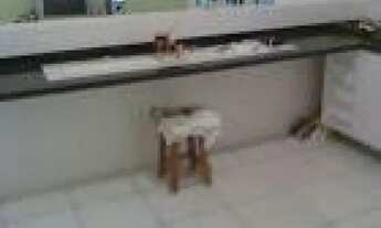 Imagem 3: Casa Padrão em São José do Rio Preto