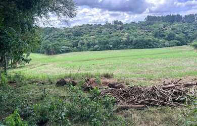 Imagem 9: Chácara de 7,4 hectares em Ibema, próximo a cidade!