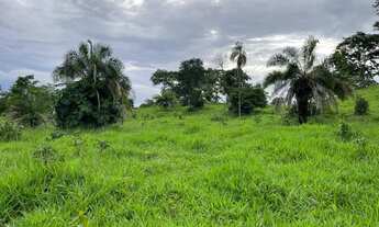 Imagem 6: Fazenda (região de Goiás velho
