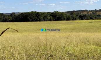 Imagem: FAZENDA À VENDA - 165 HECTARES - REGIÃO