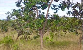 Imagem 4: Lote 1.000 m², plano em condomínio fechado, Jaboticatubas