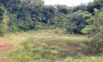 Imagem 5: Fazenda 1.500 hect em Acorizal MT. 600hect formados 15 milhões
