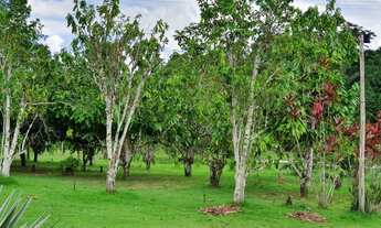 Imagem 3: Sítio no Rio Preto da Eva