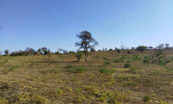 Imagem 5: Excelentes terrenos em Matozinhos com financiamento próprio. Ótimas fazendinhas de 20.000m