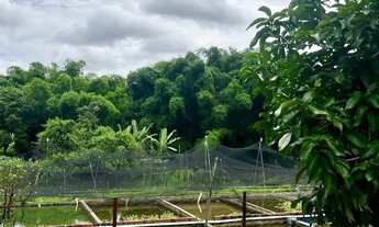 Imagem 4: Chácara à venda a 16km do centro de Goiânia
