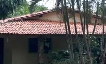 Imagem 7: Sítio no povoado Santa Teresa e próximo ao Sítio do Didi