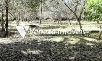 Imagem 6: Sitio na Estrada da Usina Santana a Venda