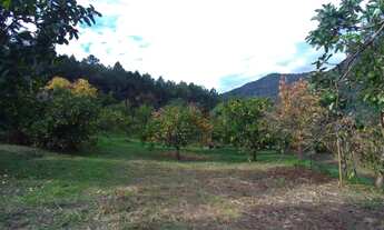 Imagem 4: Sítio à Venda em Canela!