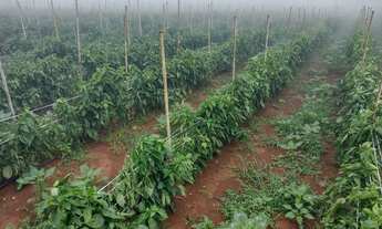Imagem 7: E 10 hequetario a venda na rua 24 lago oeste