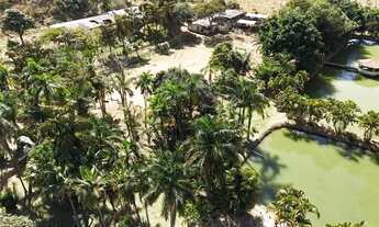 Imagem 6: Fazendinha a venda com exclusividade em Brazlândia/DF com 70 hectares