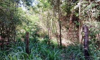 Imagem 6: Chácara no Senador Canedo - GO