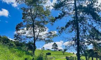 Imagem 4: Terreno declive aceita pet