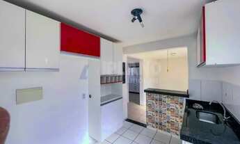 Imagem 5: Locação de Apartamentos / Padrão na cidade de São Carlos