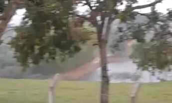 Imagem 5: Fazenda a venda em Trindade - Goiás!!!