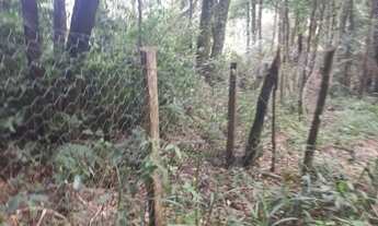 Imagem 7: Vendo Área com 900m , faço 35 mil de entrada, próximo, 11km Curitiba