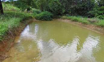 Imagem 7: Vendo chcara Fazenda / sítio com venda por R$2.500.000