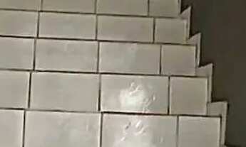 Imagem 7: Galpão à venda na Rua Arabori, Rocha Miranda, Rio de Janeiro - RJ