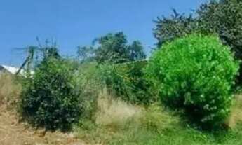 Imagem 4: Terreno em Gravataí/RS